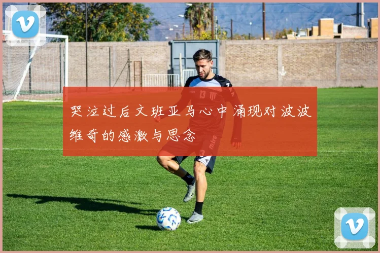 哭泣过后文班亚马心中涌现对波波维奇的感激与思念